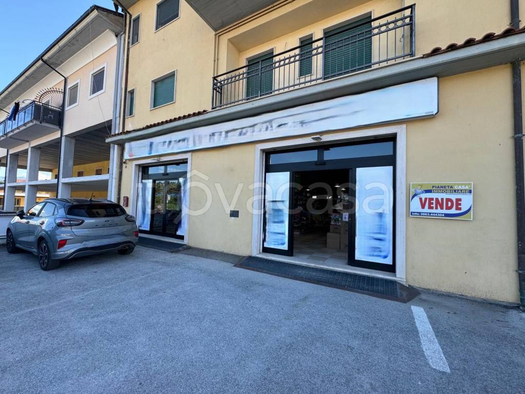 immagine annuncio 9 di 14