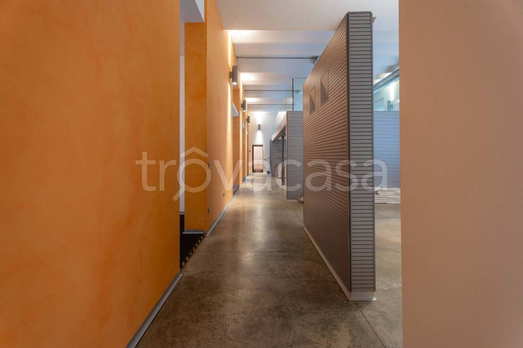 immagine annuncio 9 di 12