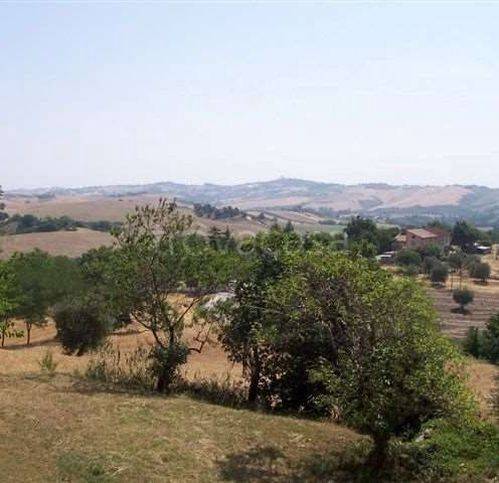 immagine annuncio 6 di 14