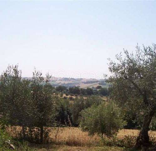 immagine annuncio 7 di 14