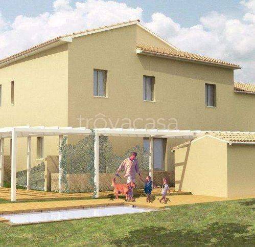 immagine annuncio 11 di 14