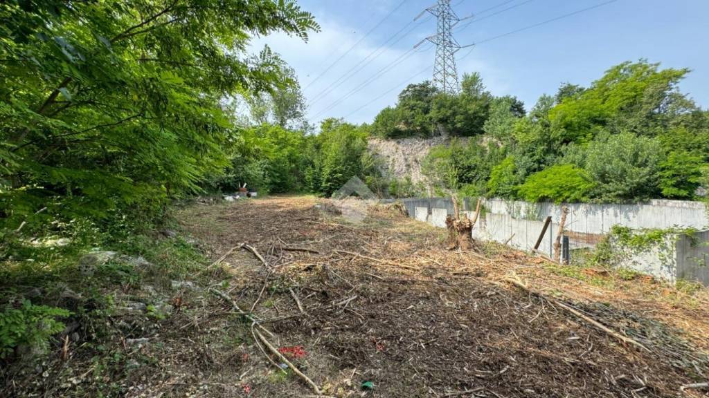 immagine annuncio 10 di 14