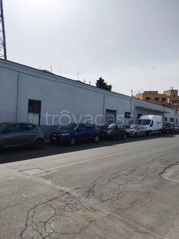 immagine annuncio 3 di 11