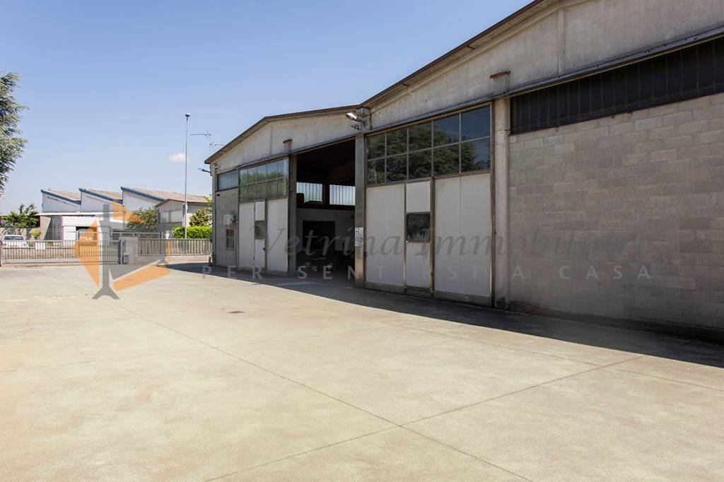 immagine annuncio 1 di 15