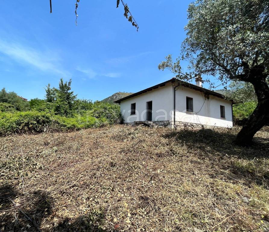 immagine annuncio 9 di 14