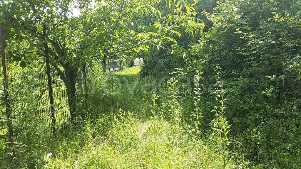 immagine annuncio 3 di 7