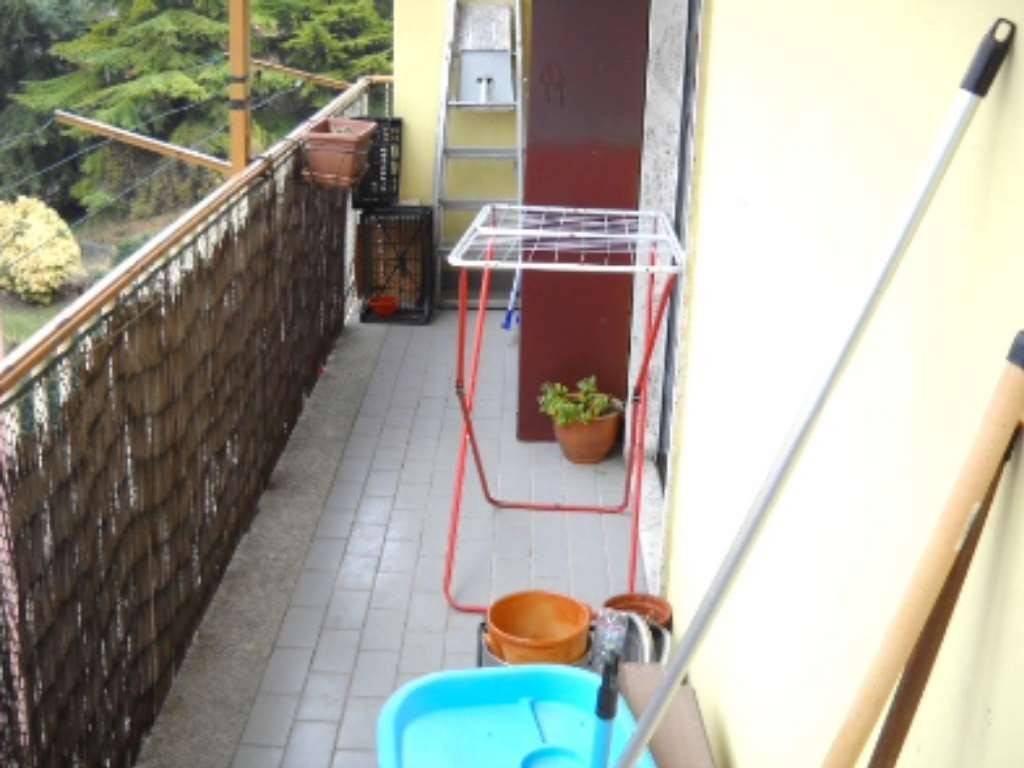immagine annuncio 10 di 11