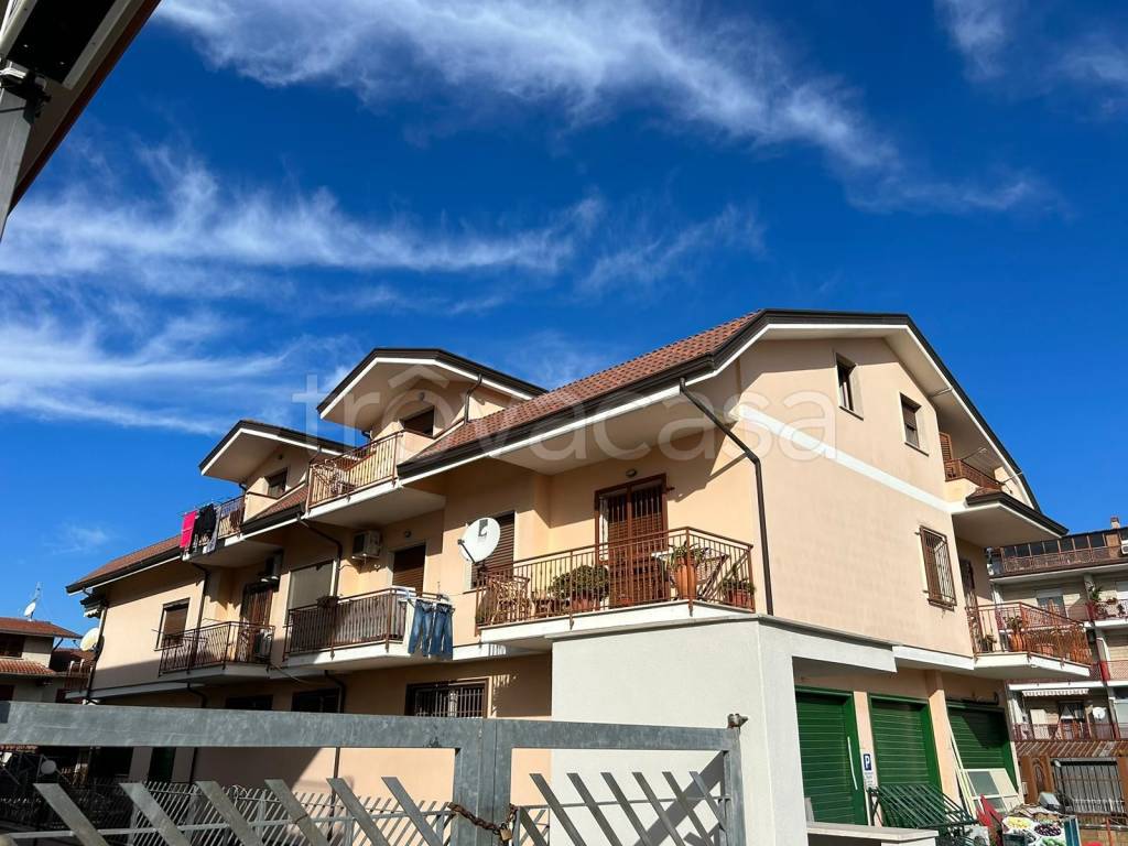immagine annuncio 7 di 14