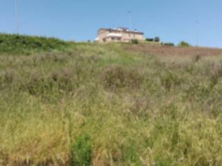 Terreno edificabile in vendita a montegranaro sp30