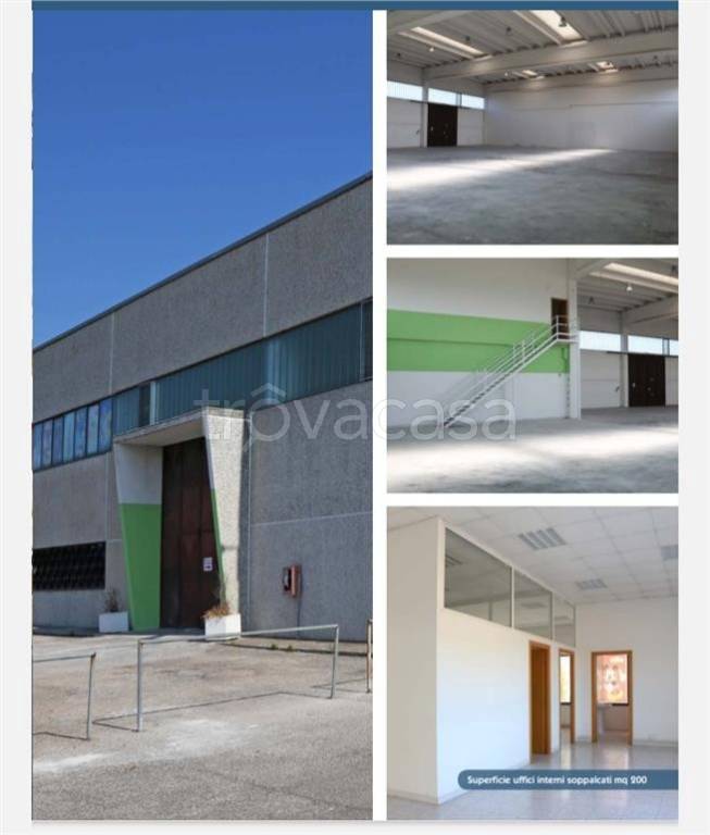 immagine annuncio 2 di 3