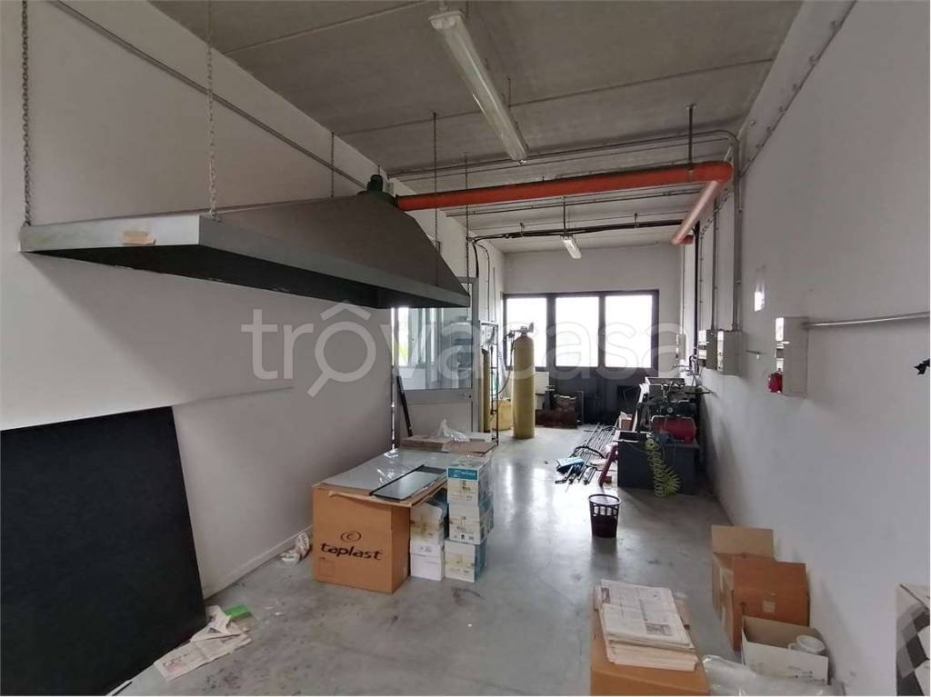 immagine annuncio 2 di 6