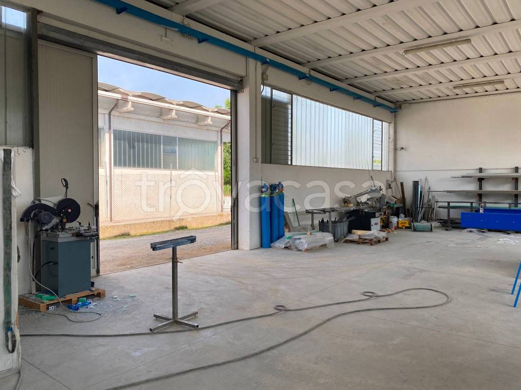 immagine annuncio 2 di 11