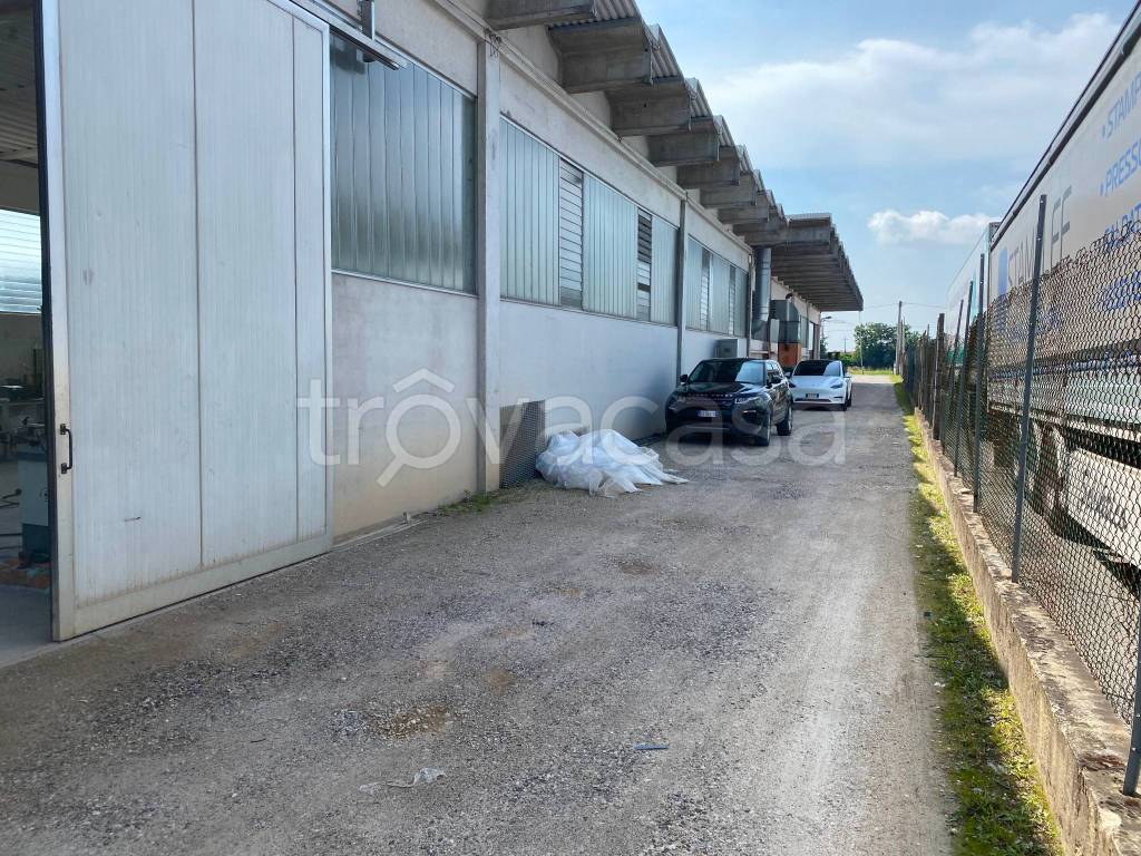 immagine annuncio 9 di 11