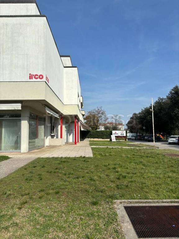 immagine annuncio 3 di 8