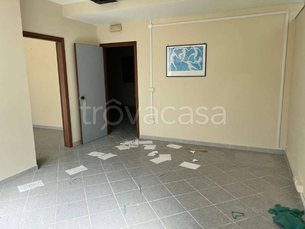 immagine annuncio 7 di 14