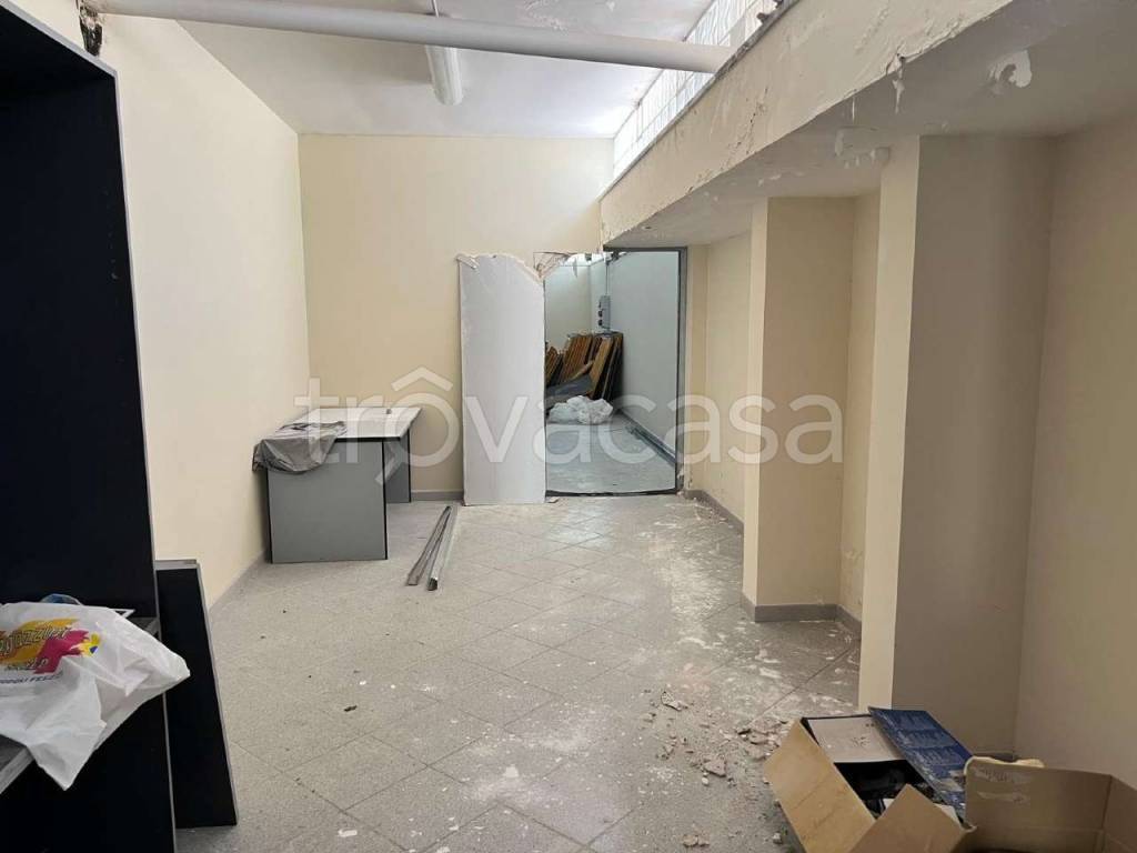 immagine annuncio 9 di 14