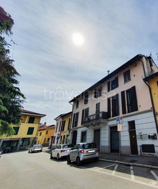 immagine annuncio 12 di 14