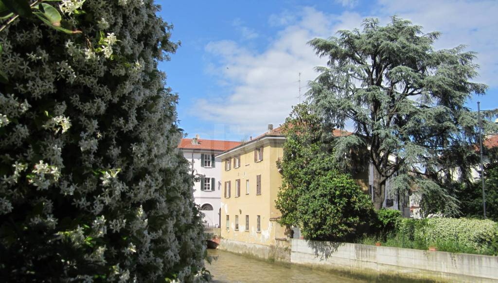 immagine annuncio 1 di 12