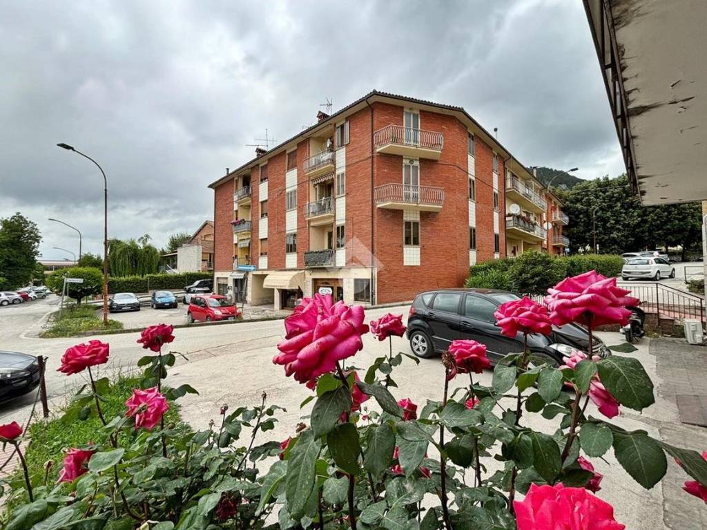 immagine annuncio 11 di 13