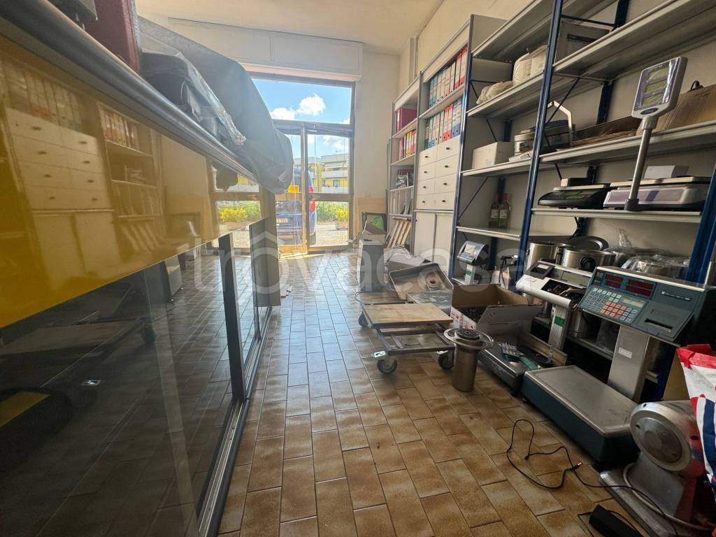 immagine annuncio 2 di 6