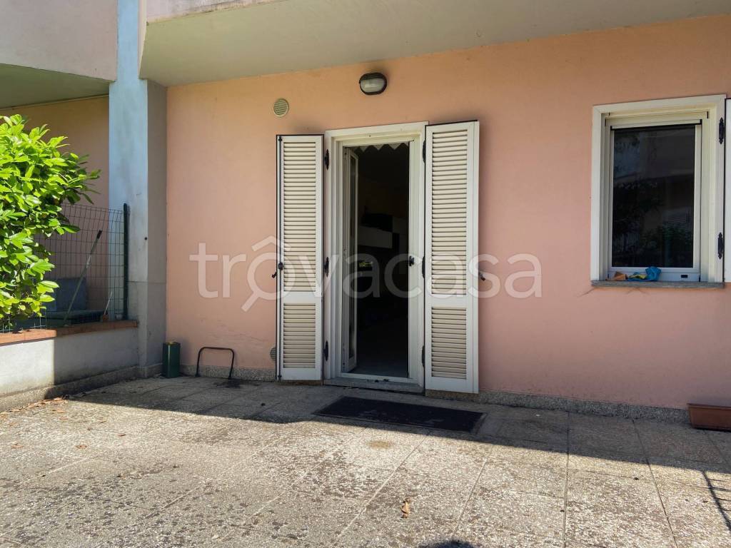 immagine annuncio 11 di 15