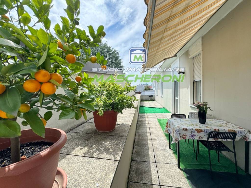 immagine annuncio 5 di 15