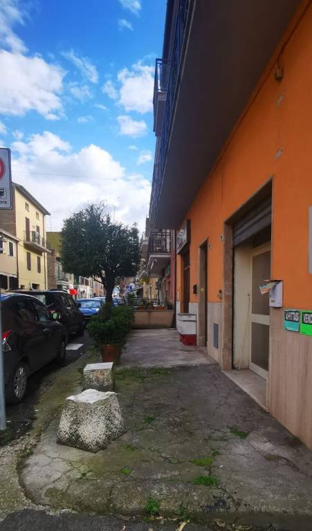 immagine annuncio 2 di 12
