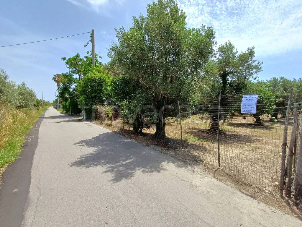 immagine annuncio 12 di 14