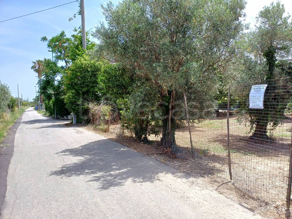 immagine annuncio 13 di 14