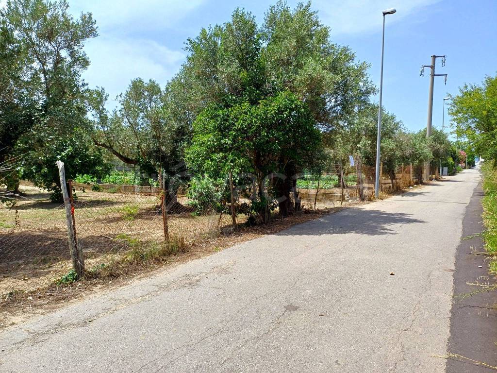 immagine annuncio 1 di 14