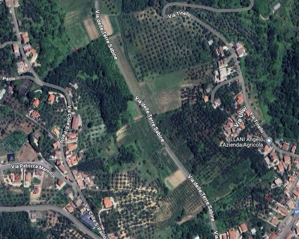 immagine annuncio 3 di 12