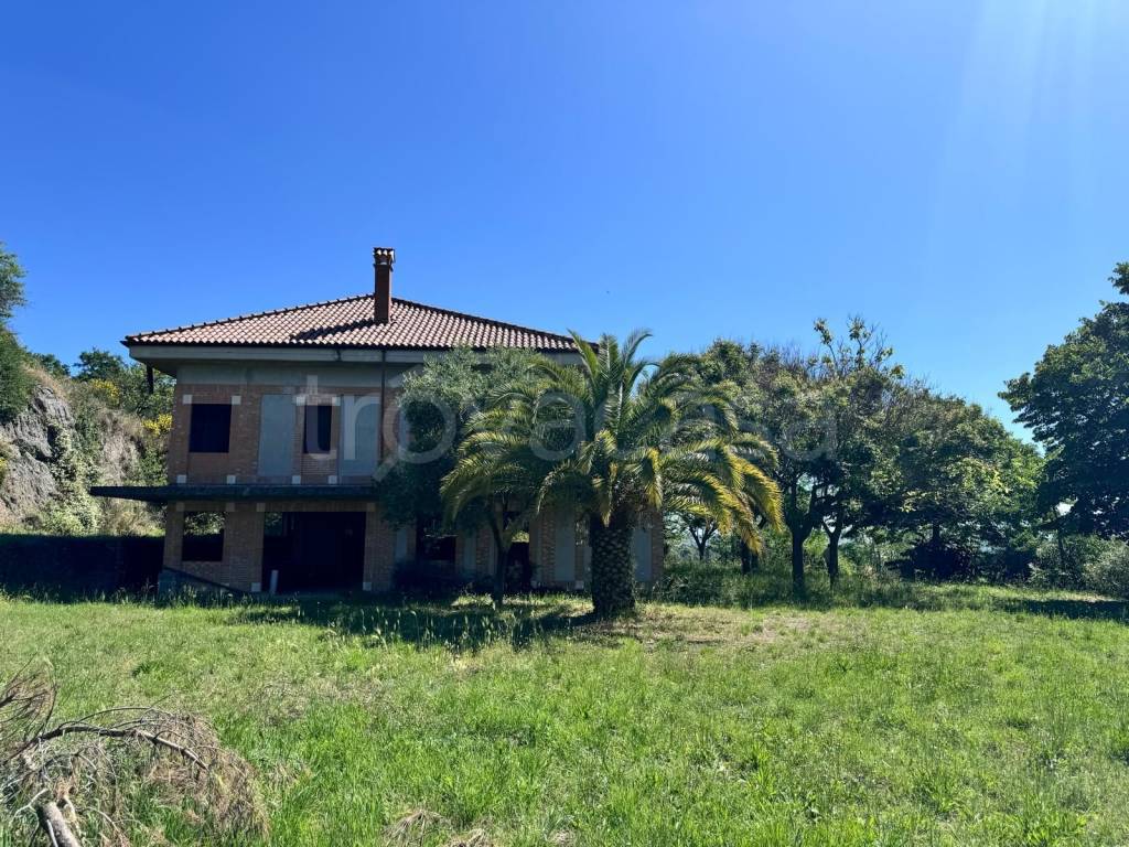 immagine annuncio 5 di 11