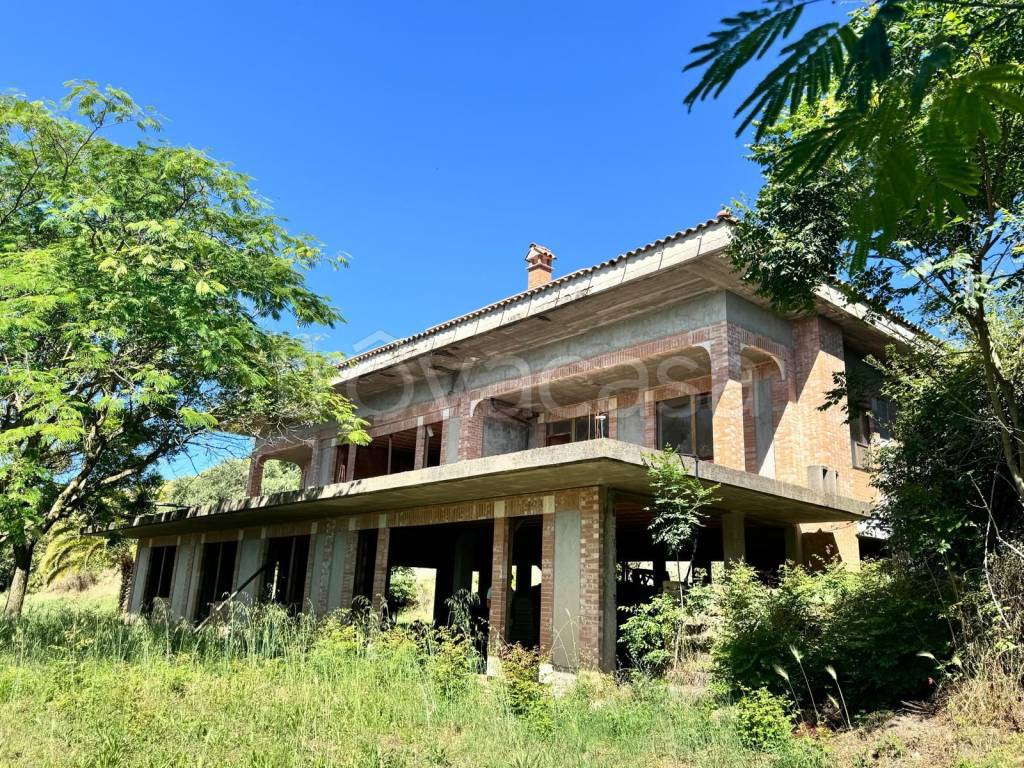 immagine annuncio 2 di 11