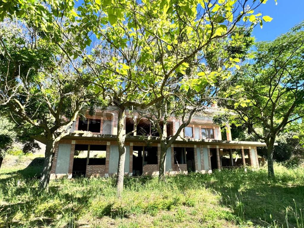 immagine annuncio 7 di 11