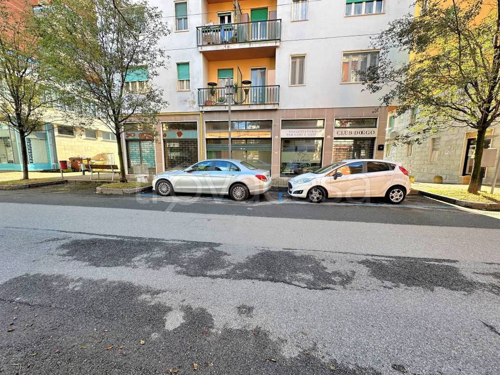 immagine annuncio 2 di 12