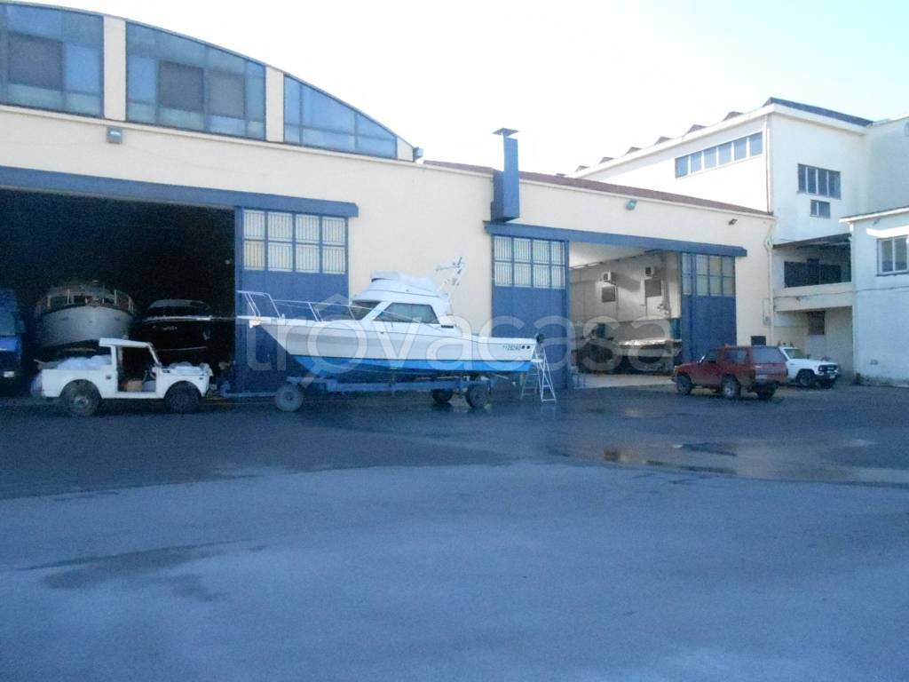 immagine annuncio 5 di 6