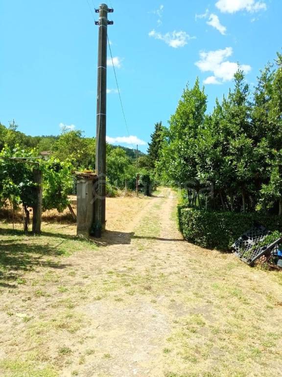immagine annuncio 6 di 11