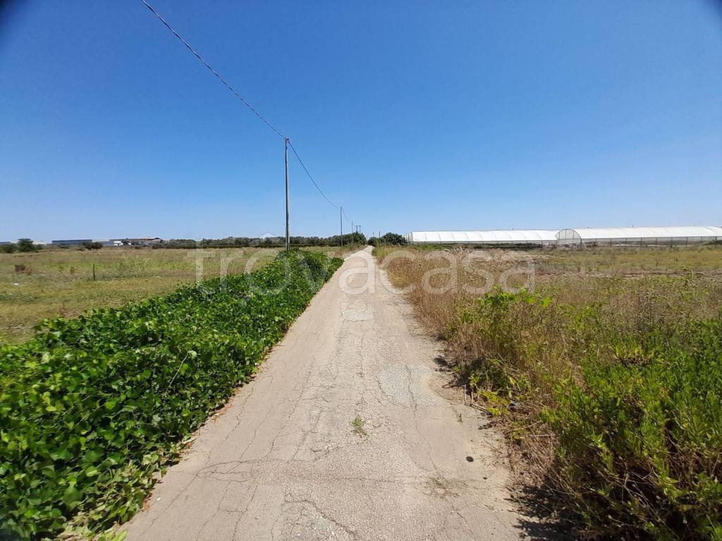 immagine annuncio 1 di 9