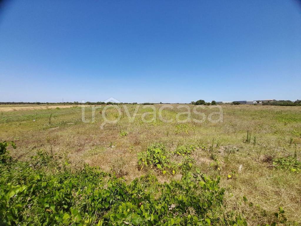 immagine annuncio 4 di 9