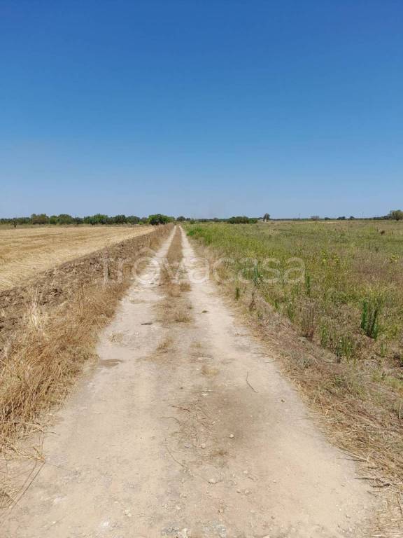 immagine annuncio 5 di 9