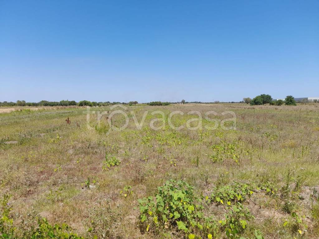 immagine annuncio 6 di 9