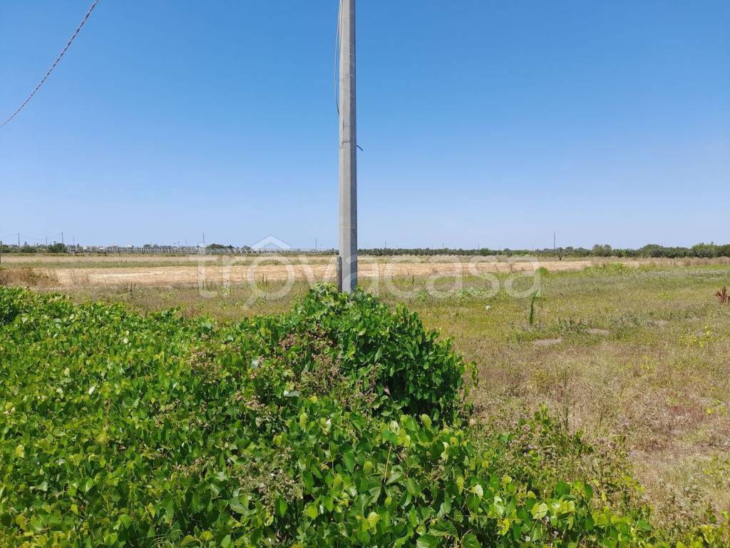 immagine annuncio 7 di 9