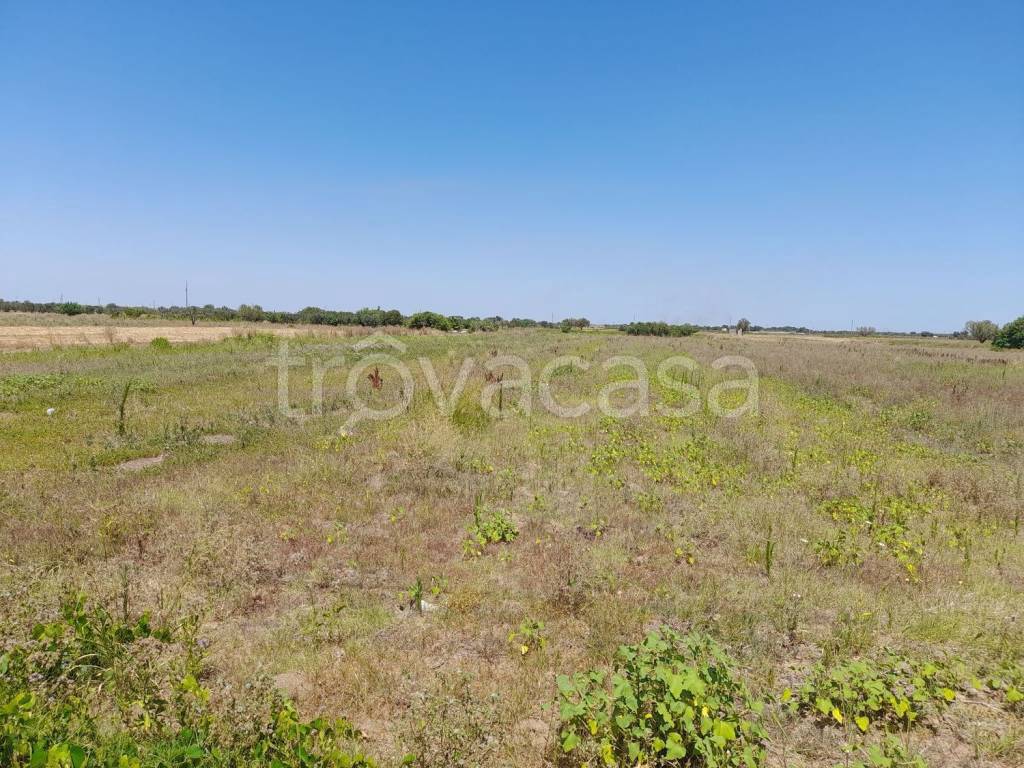 immagine annuncio 8 di 9