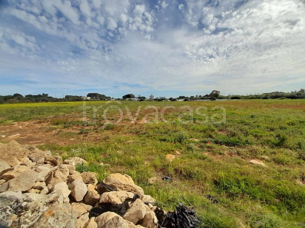 immagine annuncio 6 di 13