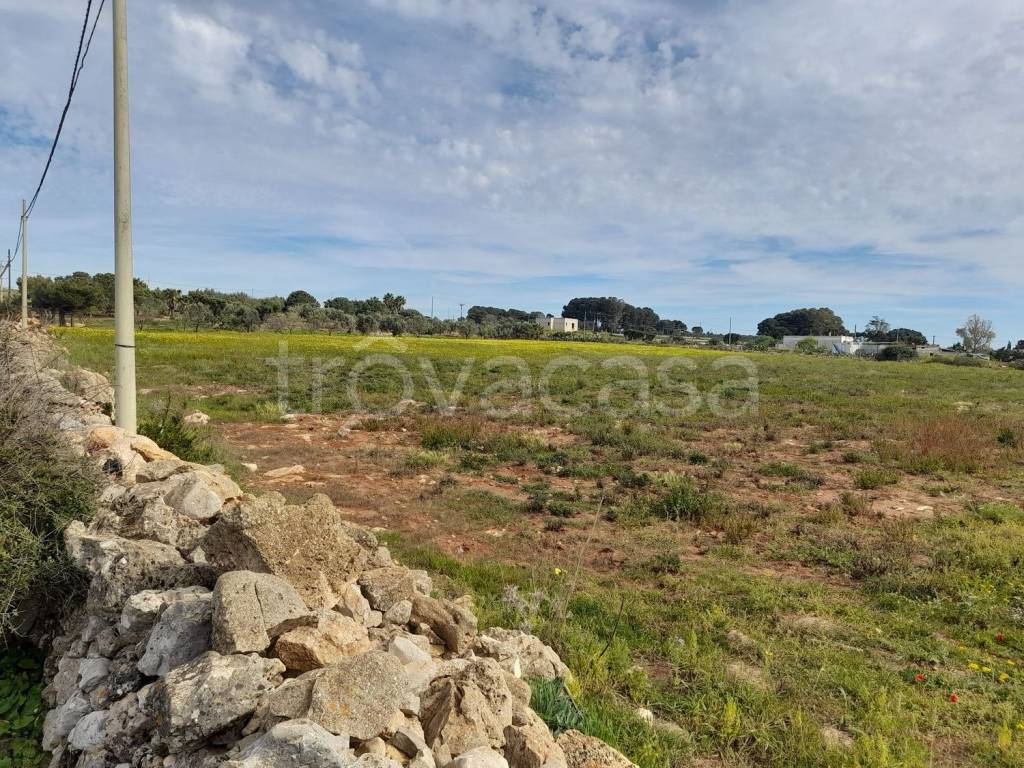 immagine annuncio 8 di 13