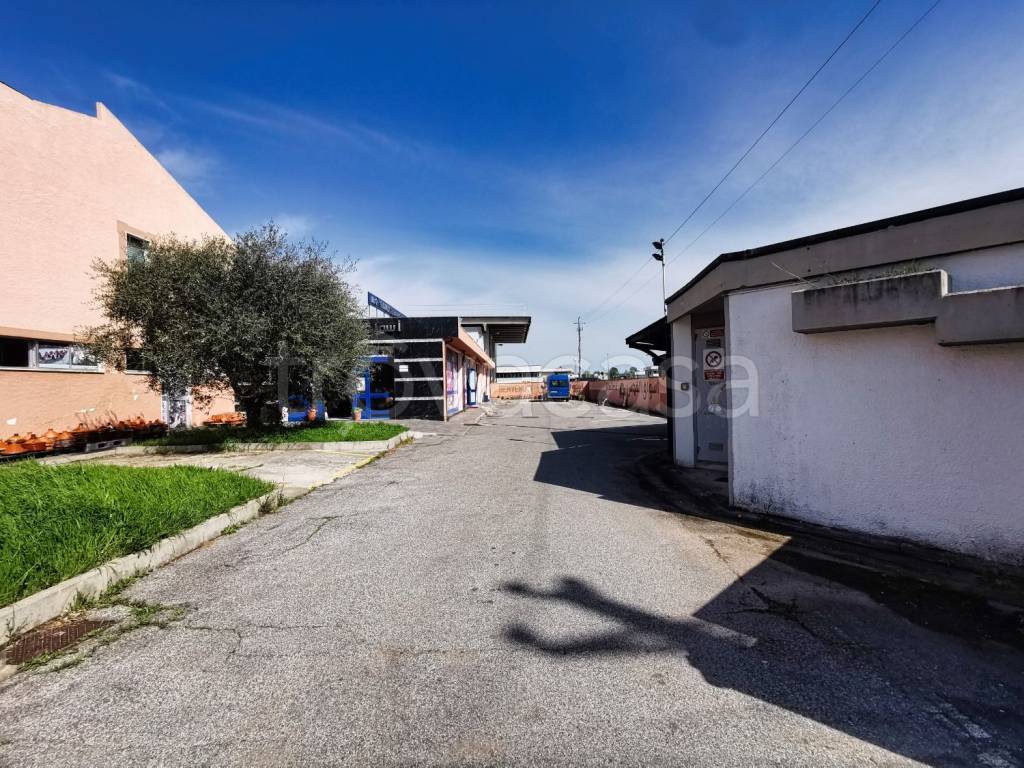 immagine annuncio 2 di 11