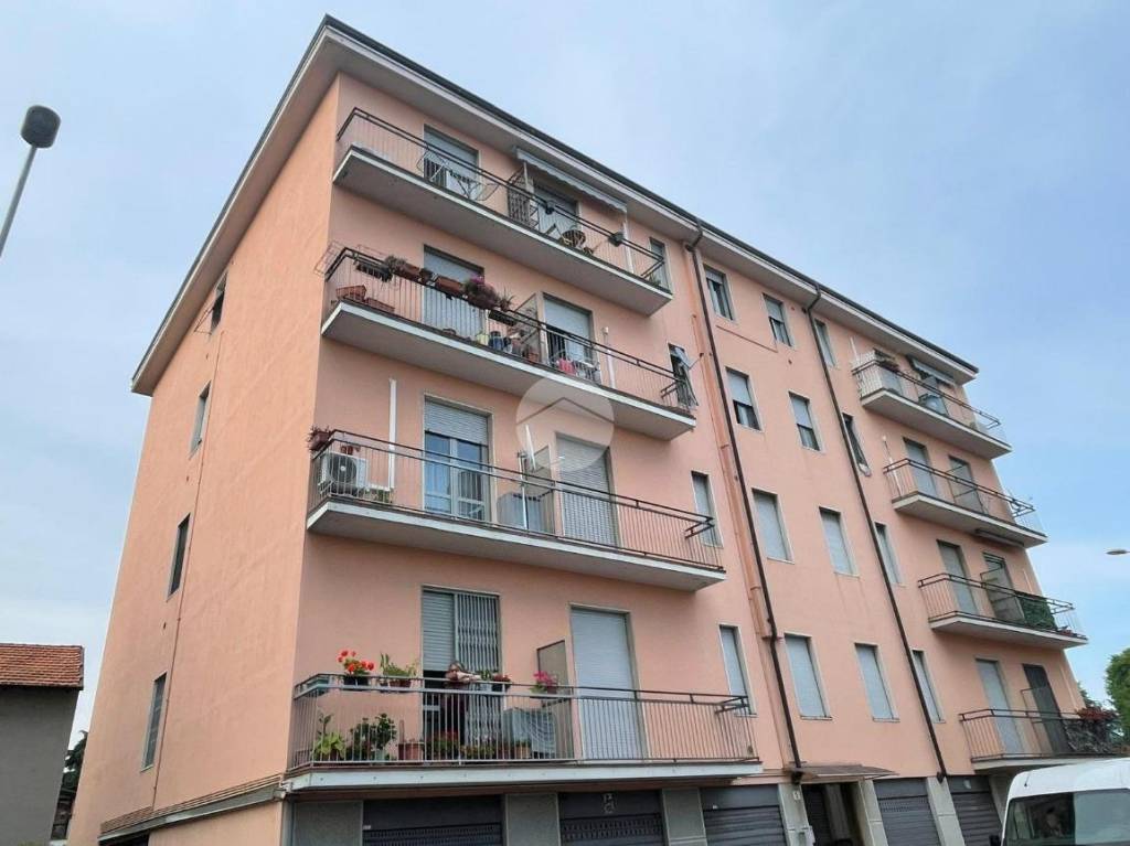 immagine annuncio 1 di 14