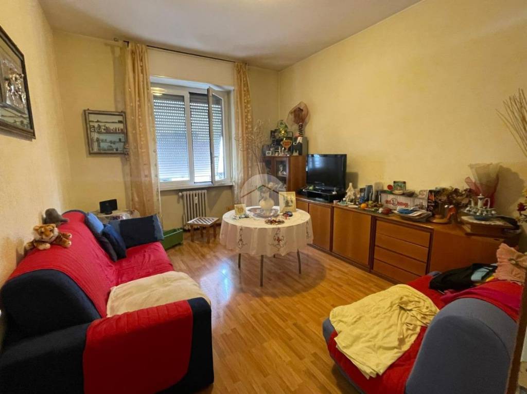 immagine annuncio 9 di 14