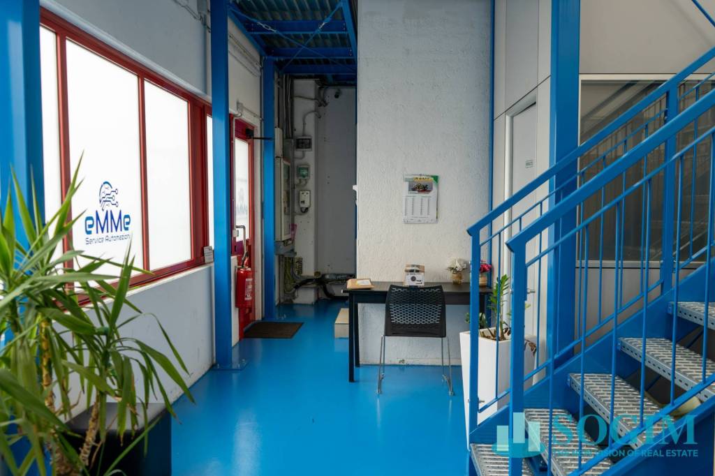 immagine annuncio 11 di 14