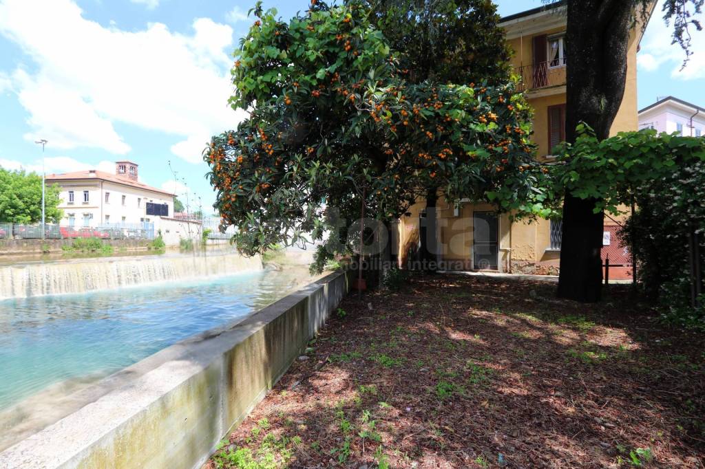 immagine annuncio 6 di 12